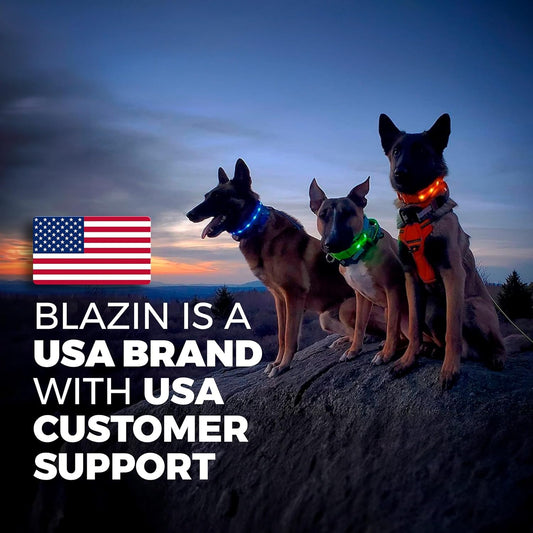 Dog Collar Light LED