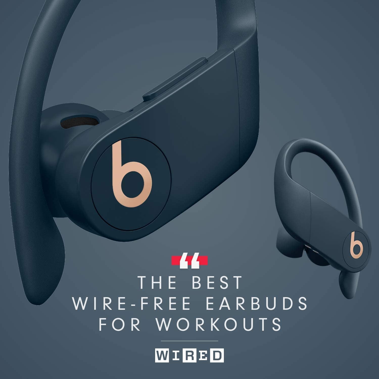Beats Powerbeats Pro Wireless Earbuds - Apple H1 Headphone Chip